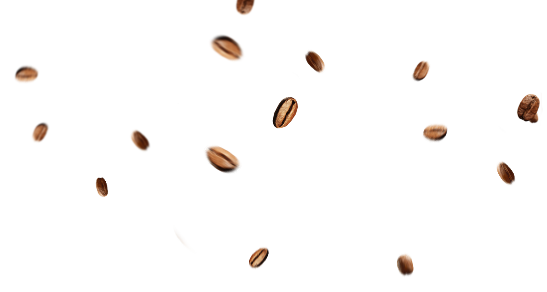 Concept-coffee-02_01